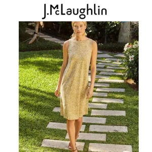 J. McLaughlin Size XS Doane Dress in Mega Mirror